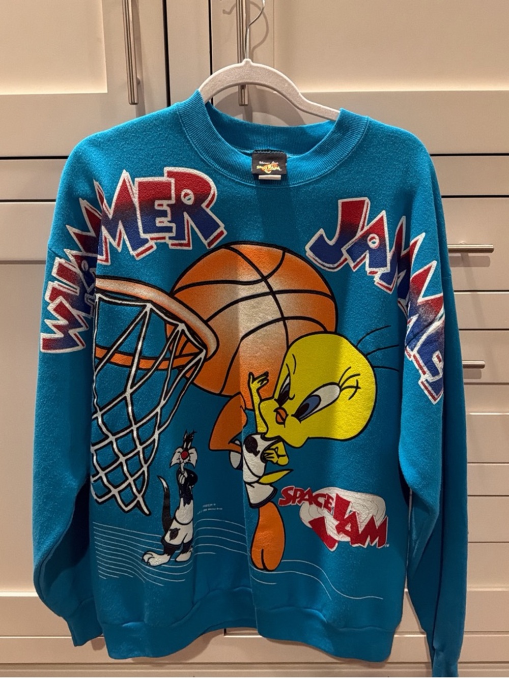 1996 RARE SPACE JAM SWEATER